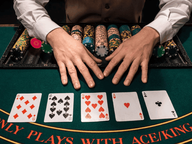 559bet