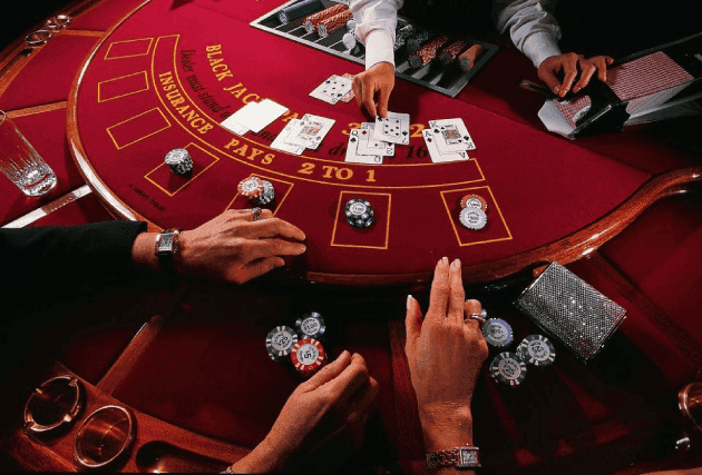 559bet