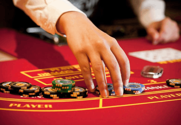 559bet